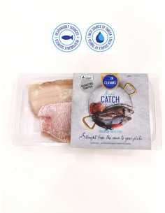Australian Wild Saddle Tail Snapper Fillet (2-3 pcs)