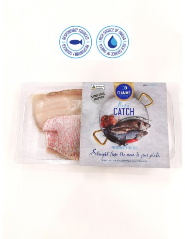 Australian Wild Saddle Tail Snapper Fillet (2-3 pcs)