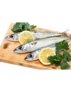 Portuguese Wild Sardines (1 kg)