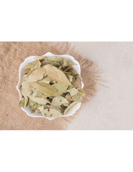 Turkey Bay Leaves (10 g)